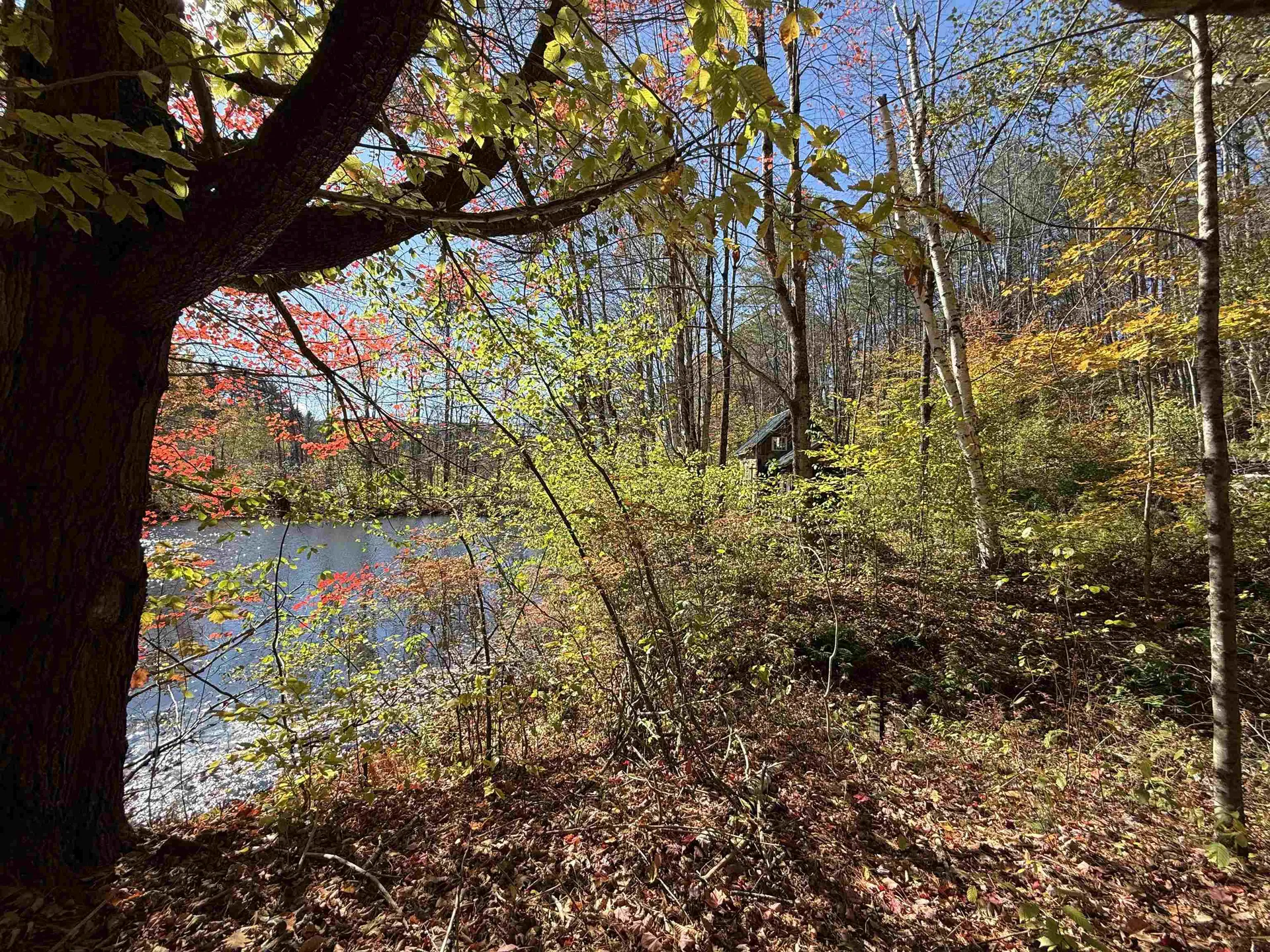 385 Chester Road Grafton VT 05146