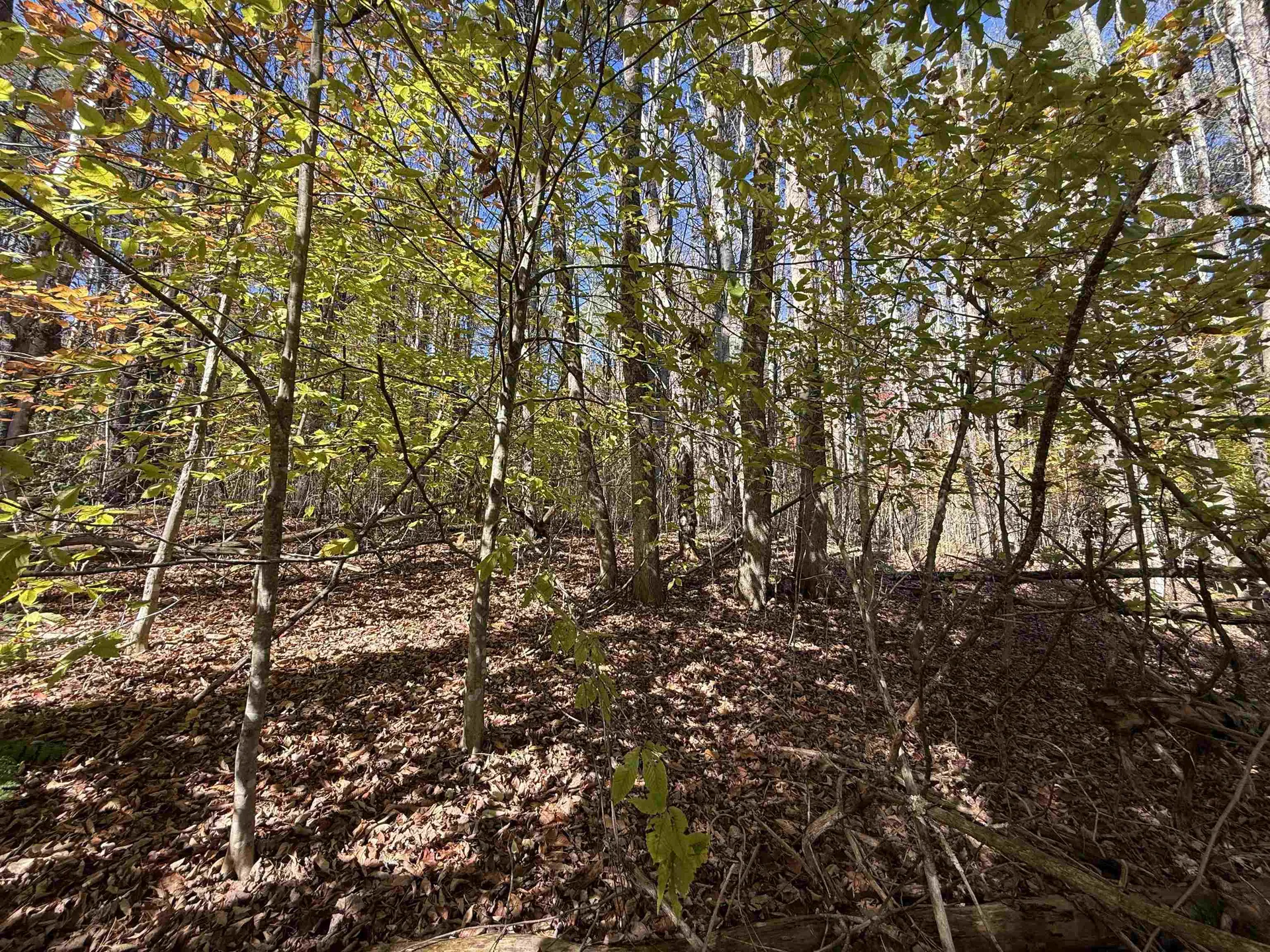 385 Chester Road Grafton VT 05146