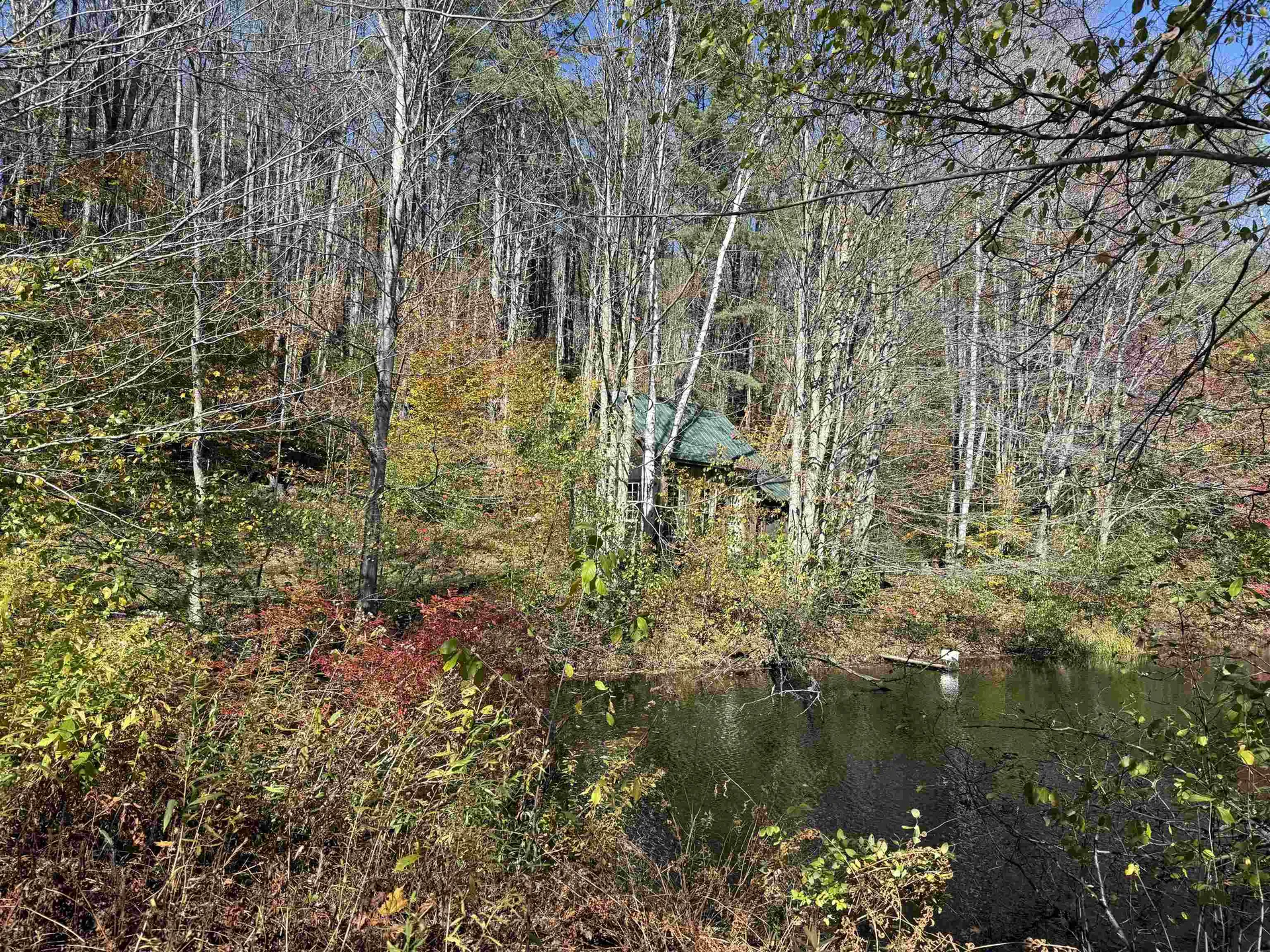 385 Chester Road Grafton VT 05146