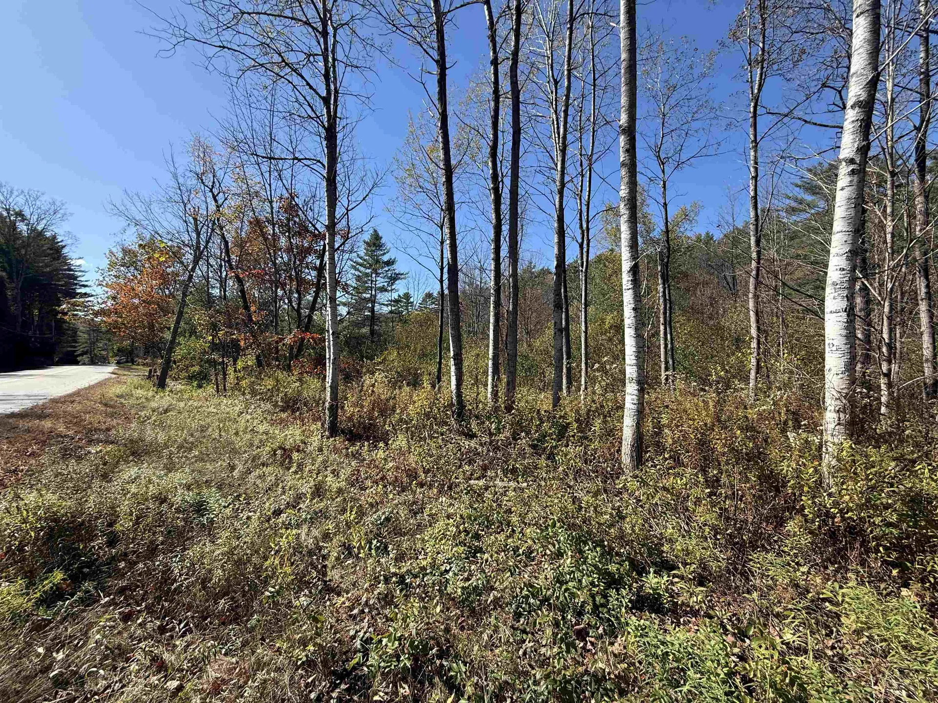 385 Chester Road Grafton VT 05146