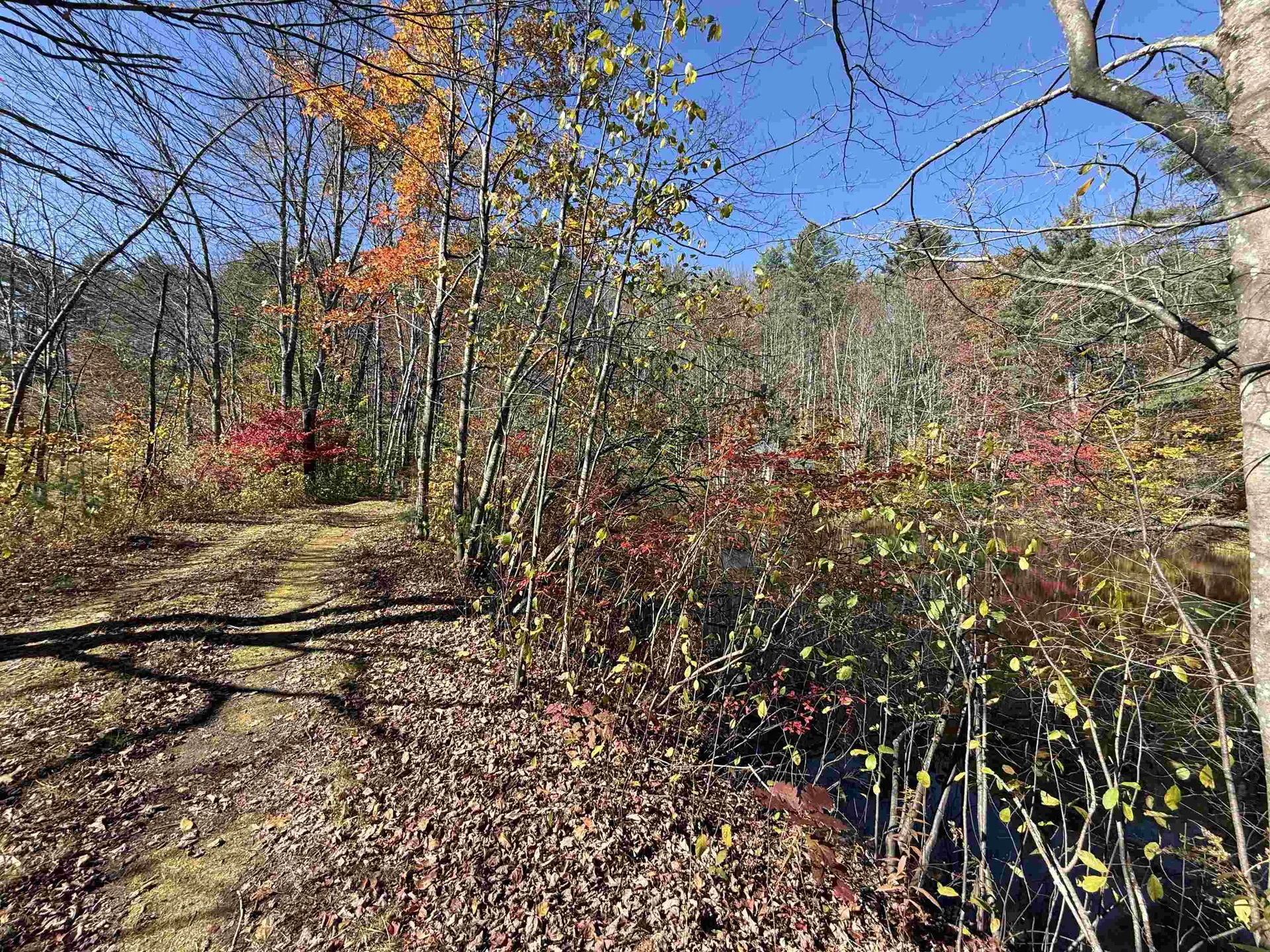 385 Chester Road Grafton VT 05146