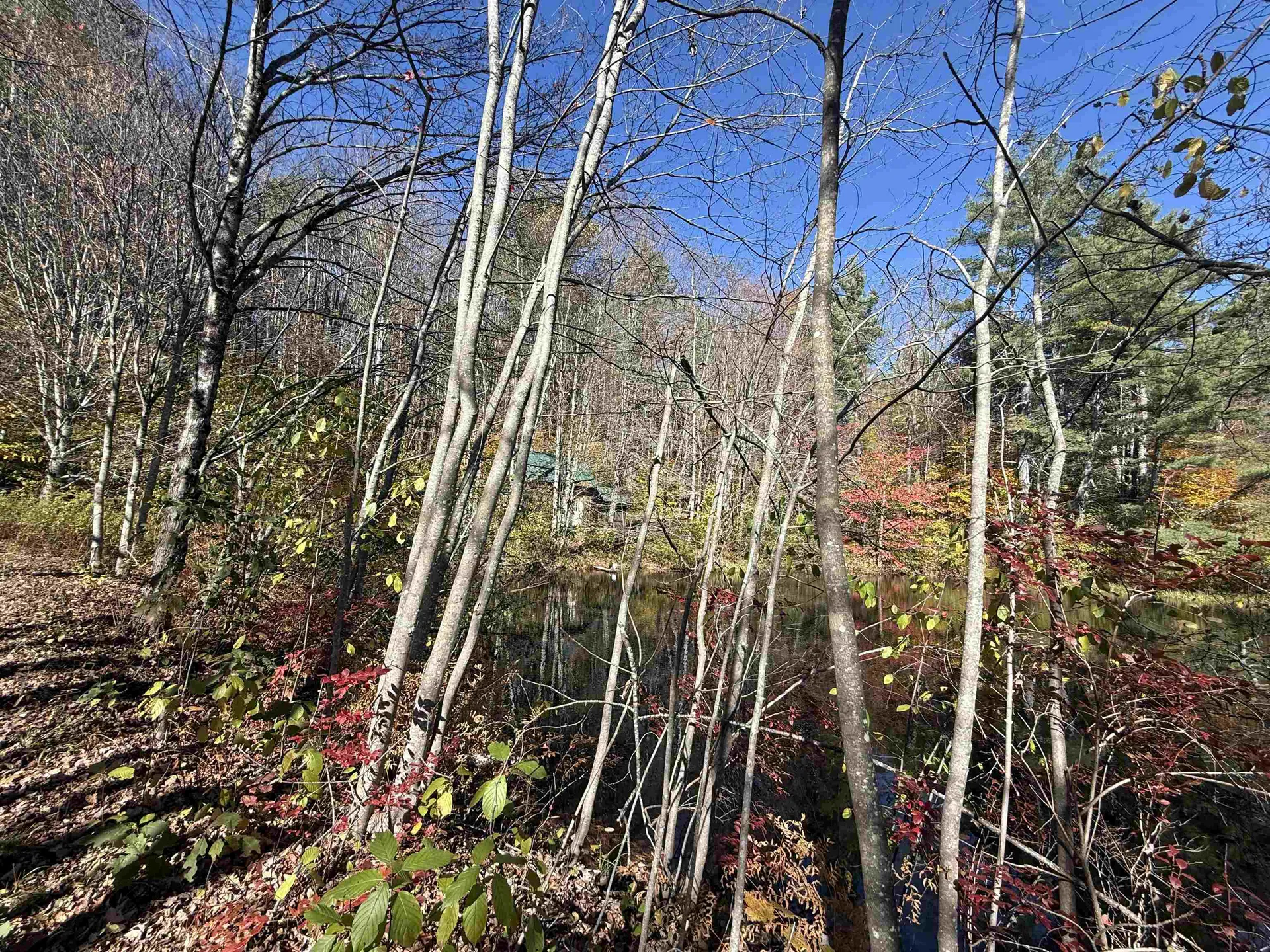 385 Chester Road Grafton VT 05146