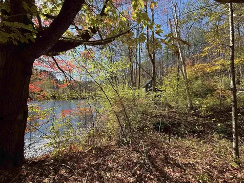 385 Chester Road Grafton VT 05146