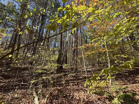 385 Chester Road Grafton VT 05146