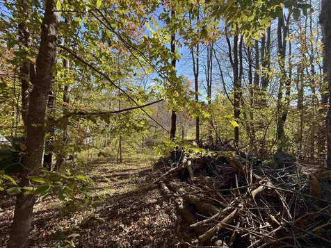 385 Chester Road Grafton VT 05146