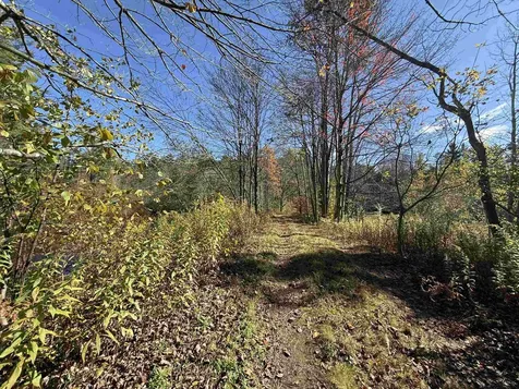 385 Chester Road Grafton VT 05146