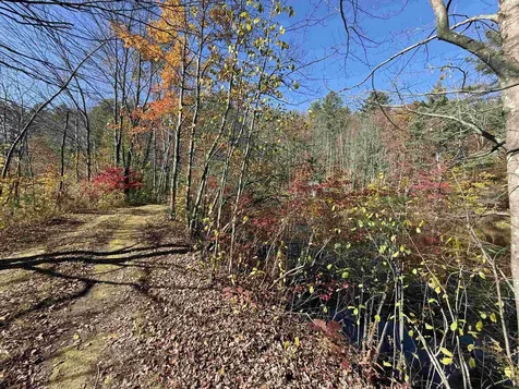 385 Chester Road Grafton VT 05146