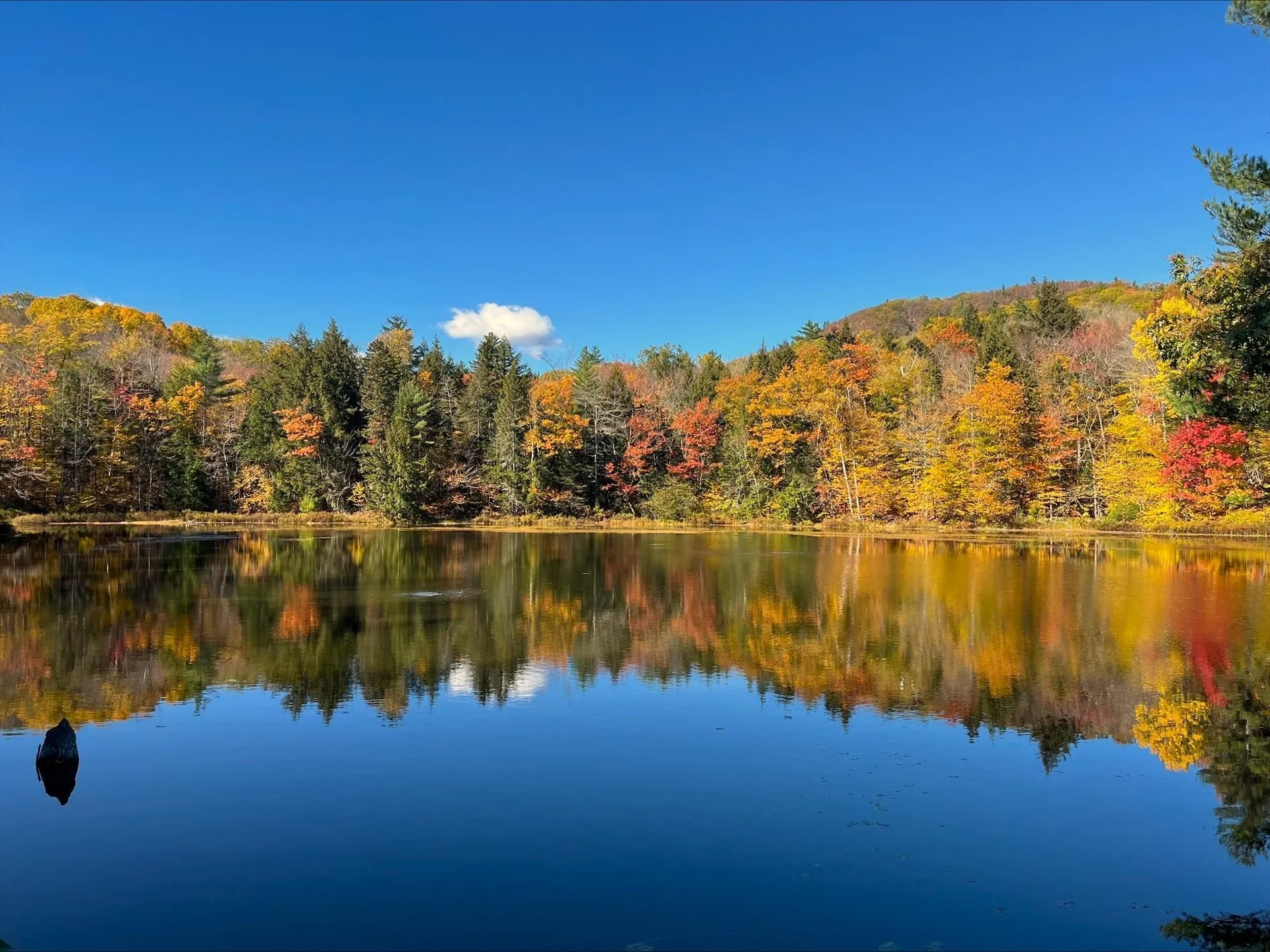 38 Mirror Lake Road Jackson NH 03846