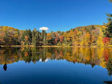 38 Mirror Lake Road Jackson NH 03846