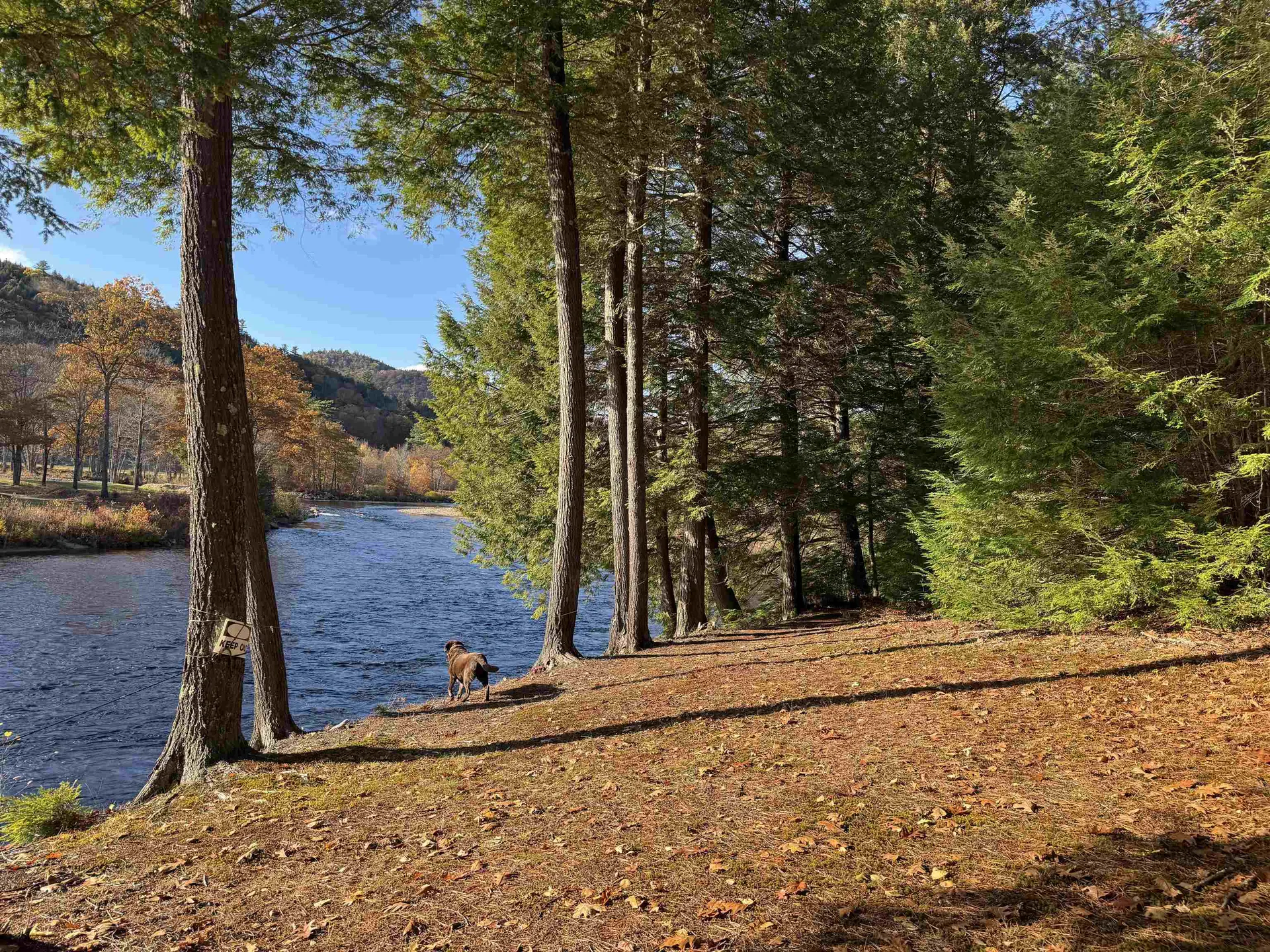 15 Tennis Lane Thornton NH 03285