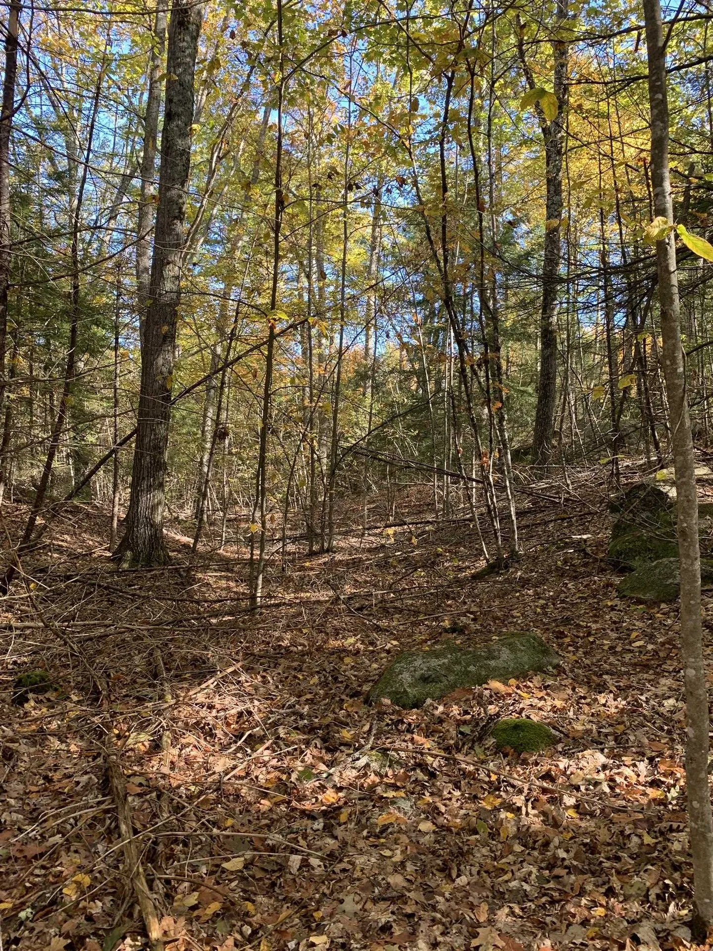 Lot 3 Journeys End Road Francestown NH 03043