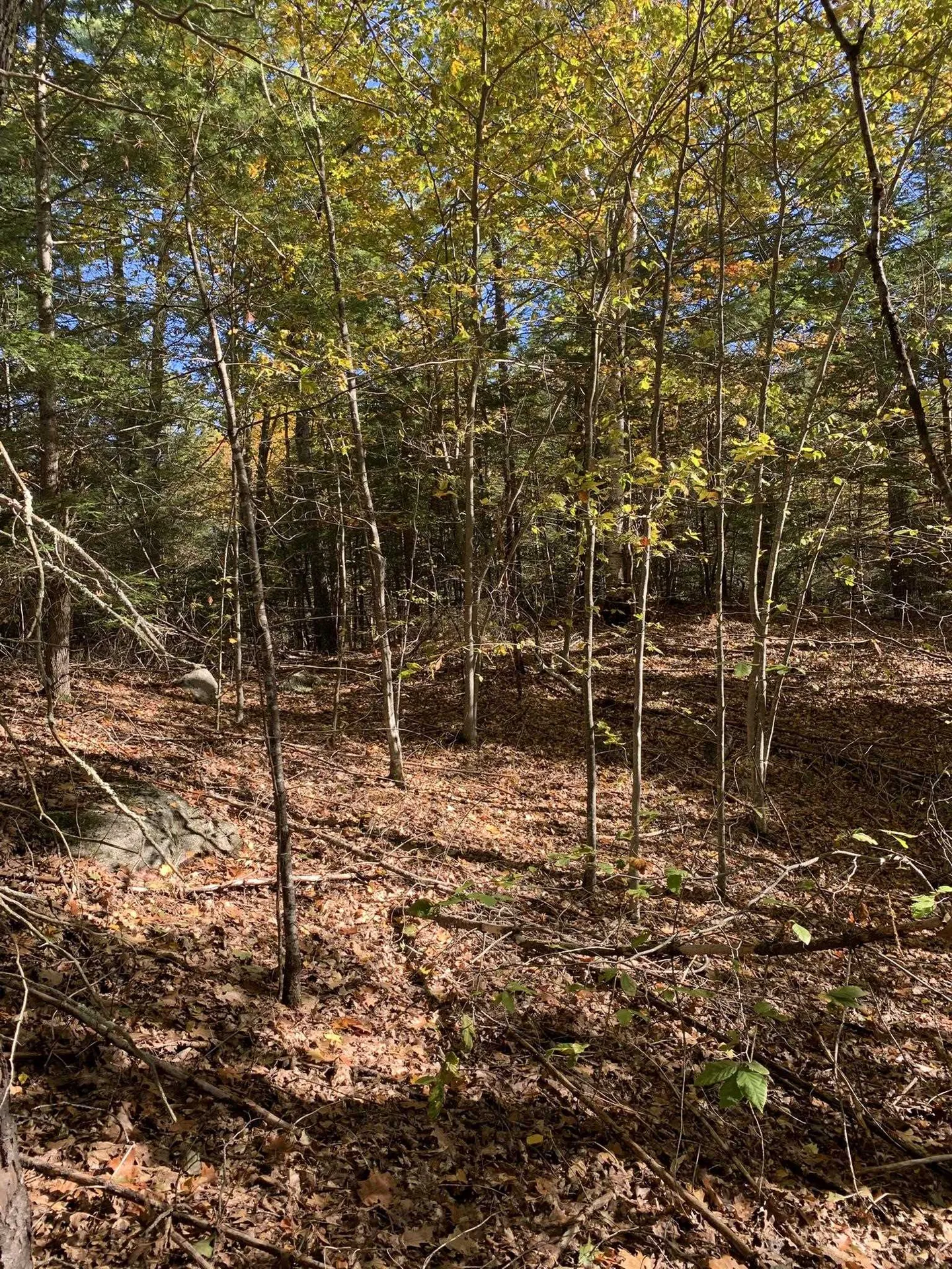 Lot 3 Journeys End Road Francestown NH 03043