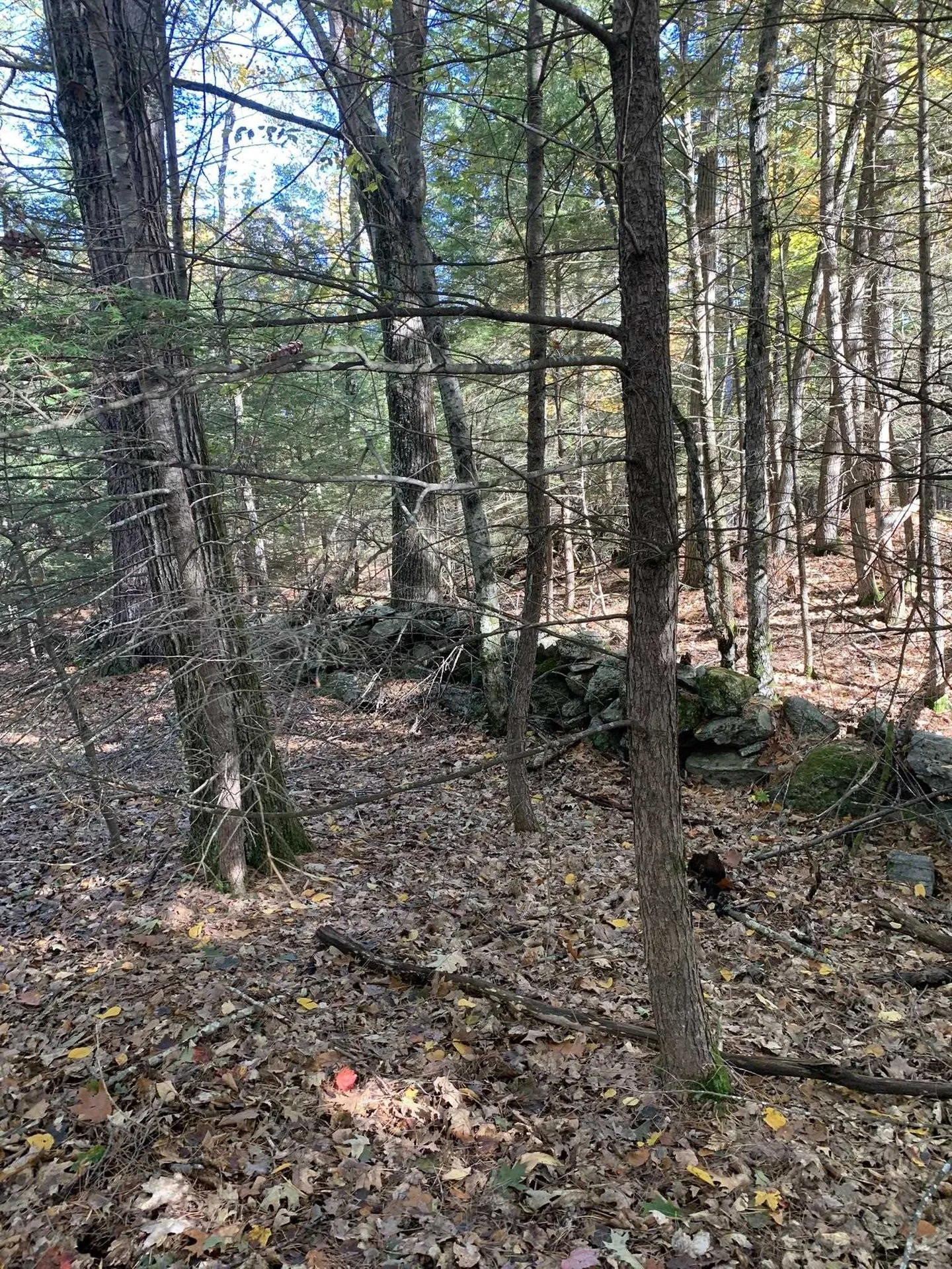 Lot 3 Journeys End Road Francestown NH 03043