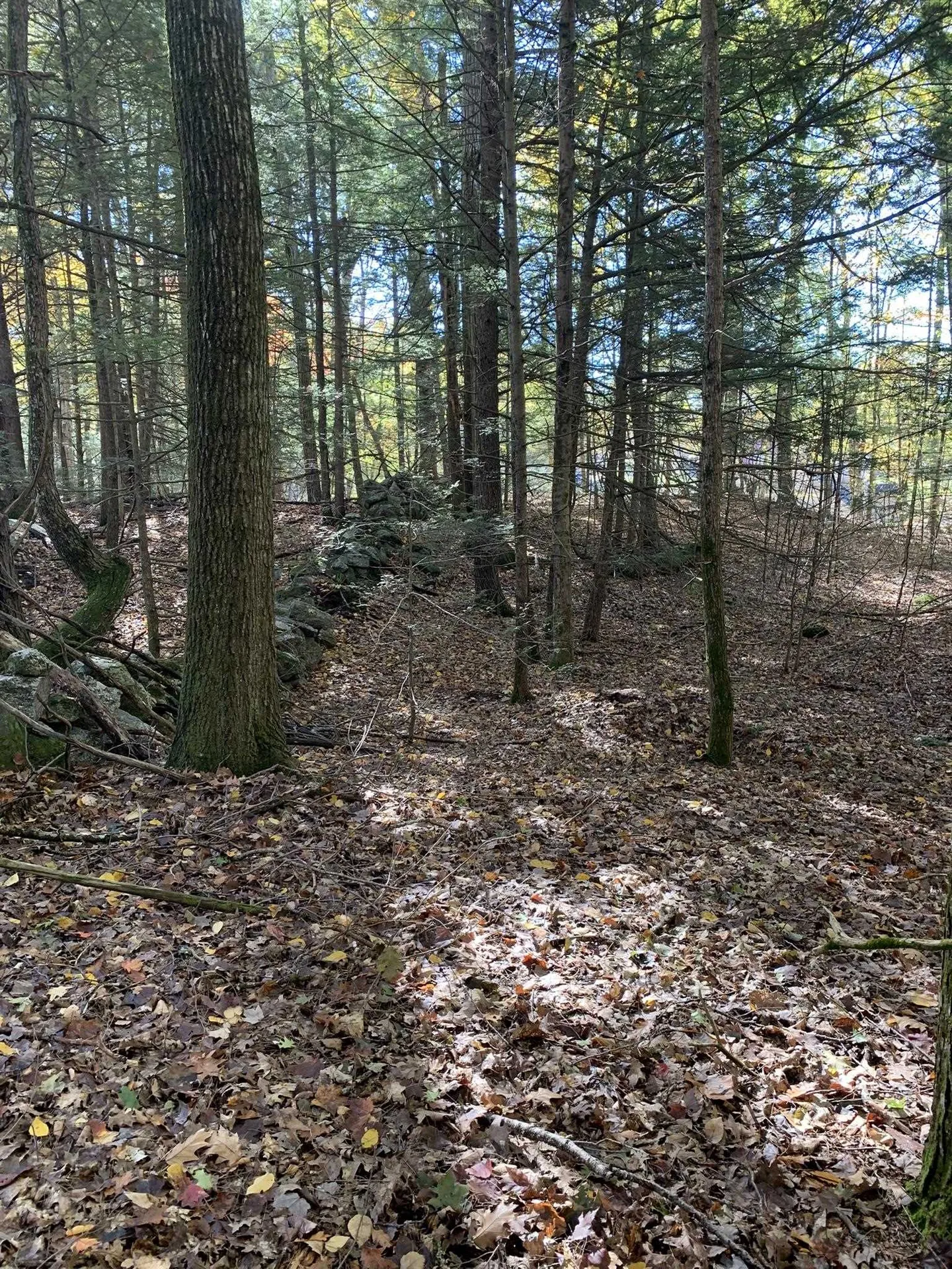 Lot 3 Journeys End Road Francestown NH 03043