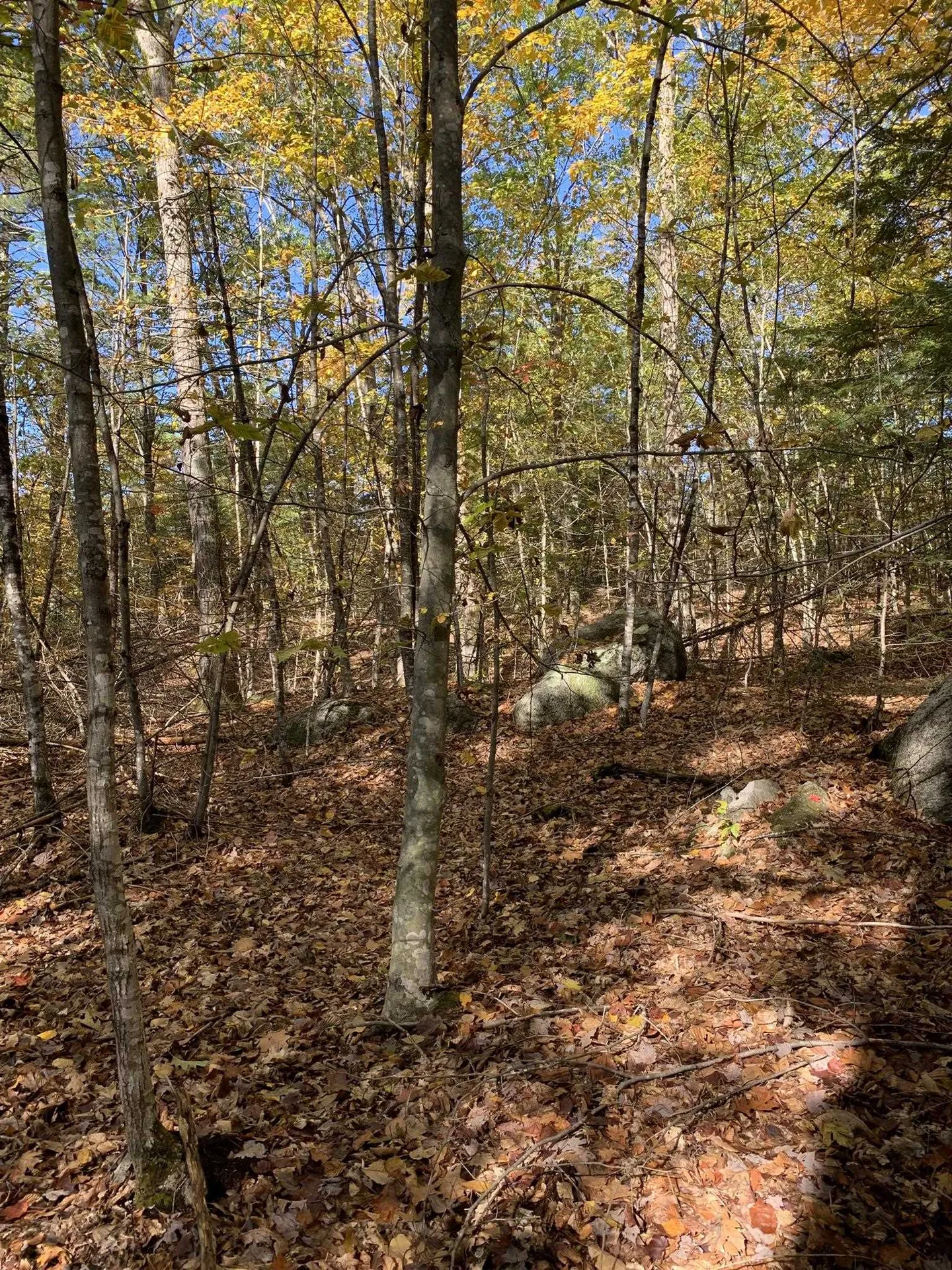 Lot 3 Journeys End Road Francestown NH 03043