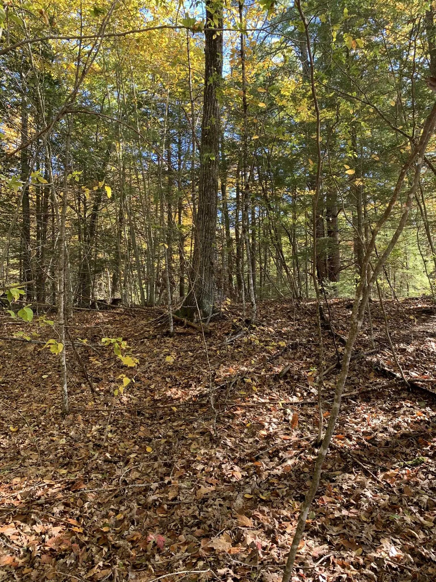 Lot 3 Journeys End Road Francestown NH 03043