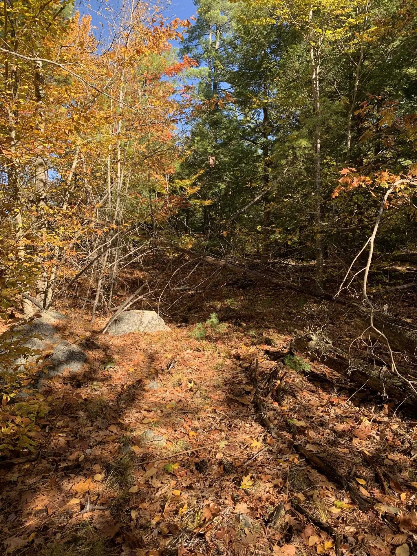 Lot 3 Journeys End Road Francestown NH 03043