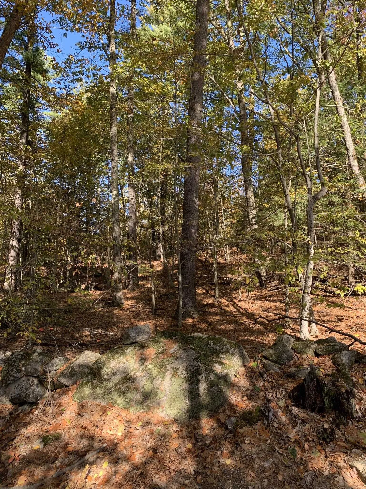 Lot 3 Journeys End Road Francestown NH 03043