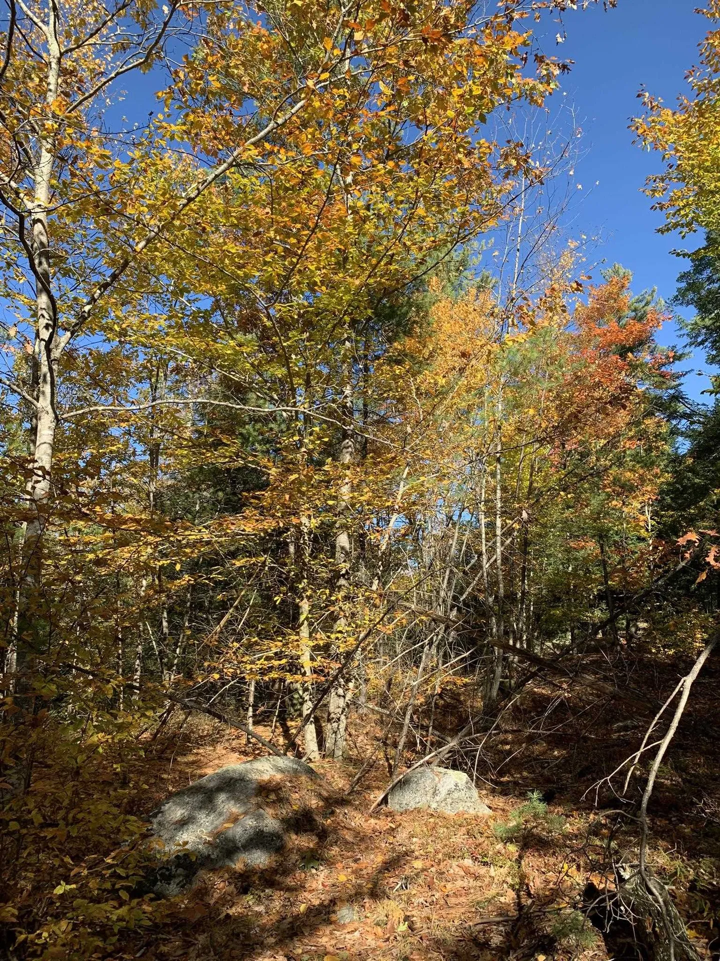 Lot 3 Journeys End Road Francestown NH 03043