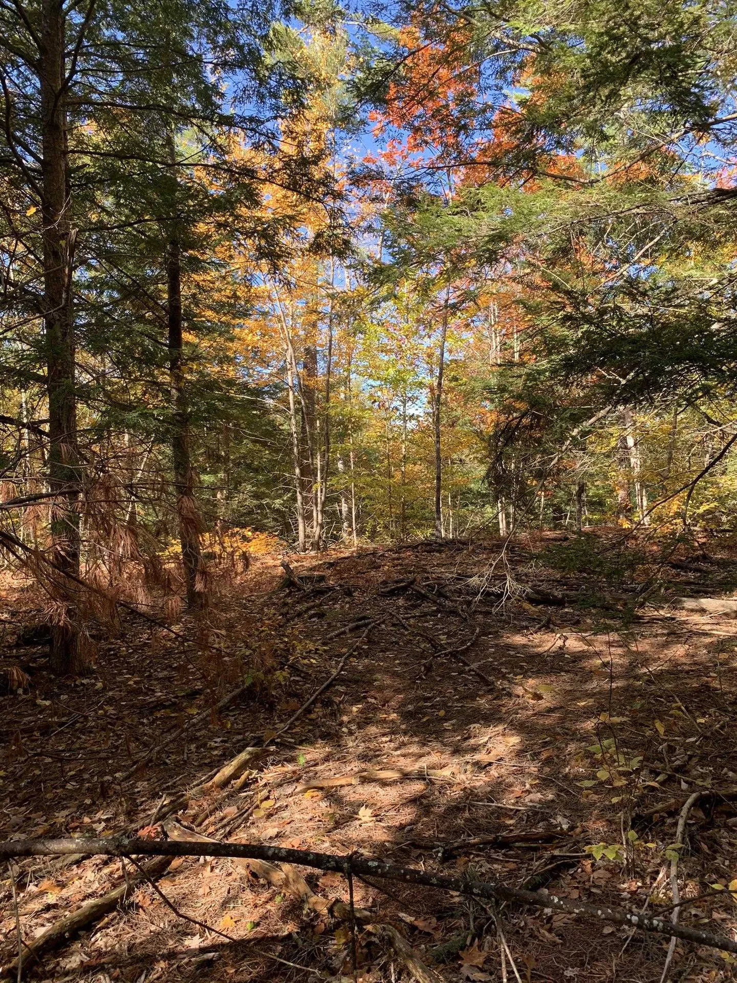 Lot 3 Journeys End Road Francestown NH 03043