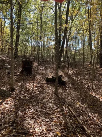 Lot 3 Journeys End Road Francestown NH 03043