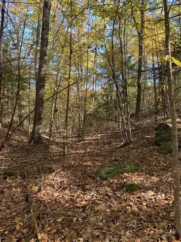 Lot 3 Journeys End Road Francestown NH 03043