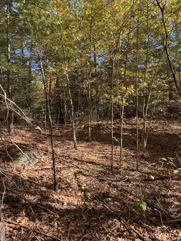 Lot 3 Journeys End Road Francestown NH 03043