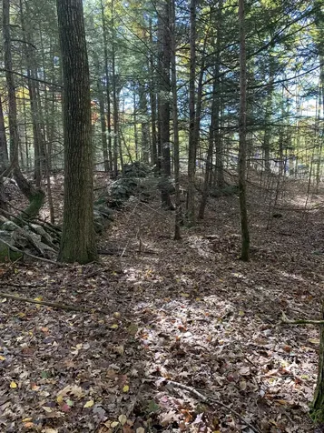 Lot 3 Journeys End Road Francestown NH 03043