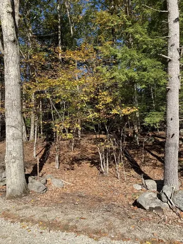 Lot 3 Journeys End Road Francestown NH 03043