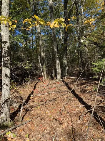 Lot 3 Journeys End Road Francestown NH 03043