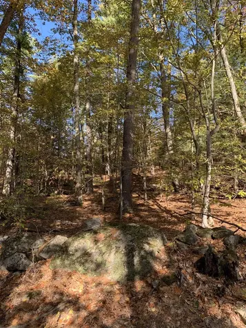 Lot 3 Journeys End Road Francestown NH 03043