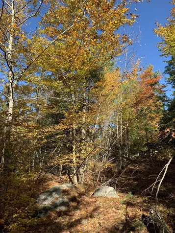 Lot 3 Journeys End Road Francestown NH 03043