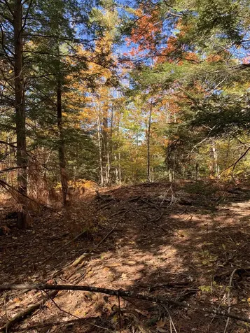 Lot 3 Journeys End Road Francestown NH 03043