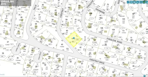 252 Chestnut Drive Gilford NH 03249