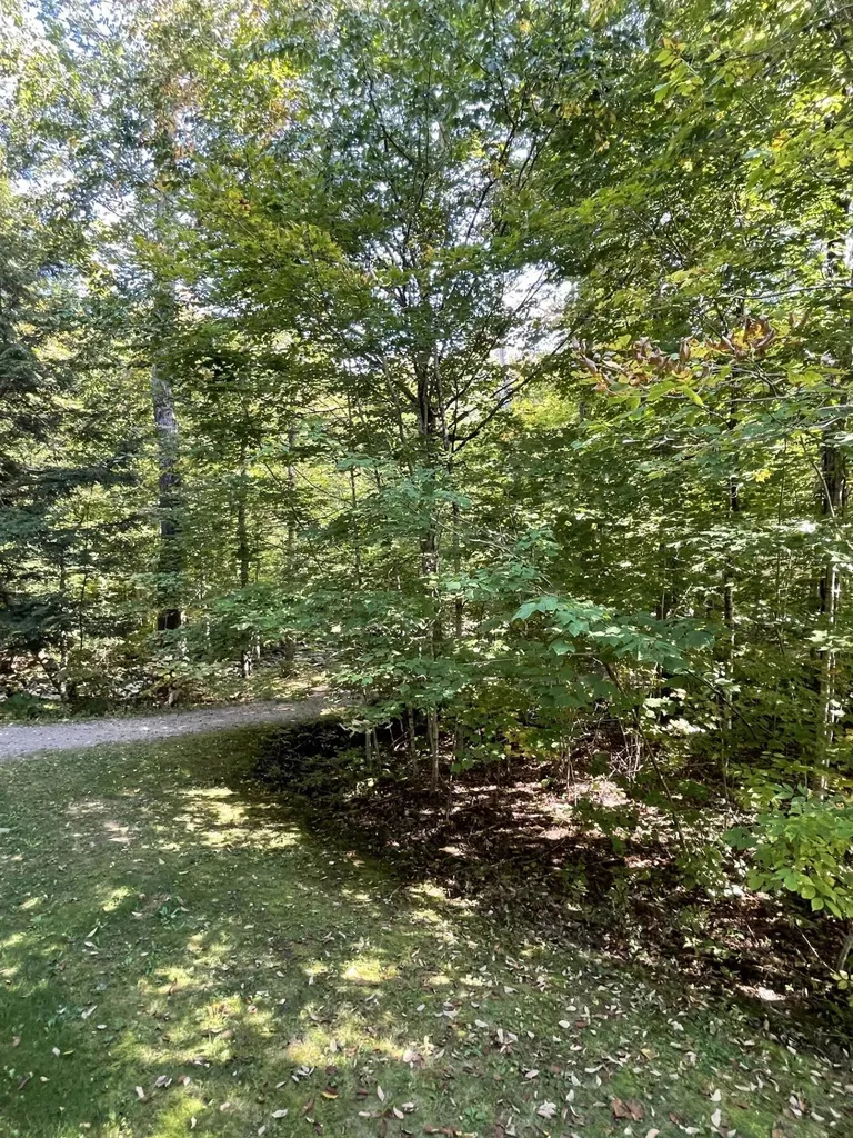 Villamarksauna 13 At Smugglers Notch Cambridge VT 05464