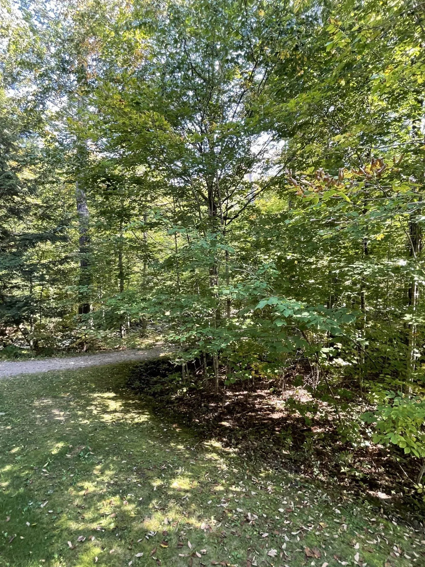 Villamarksauna 13 At Smugglers Notch Cambridge VT 05464