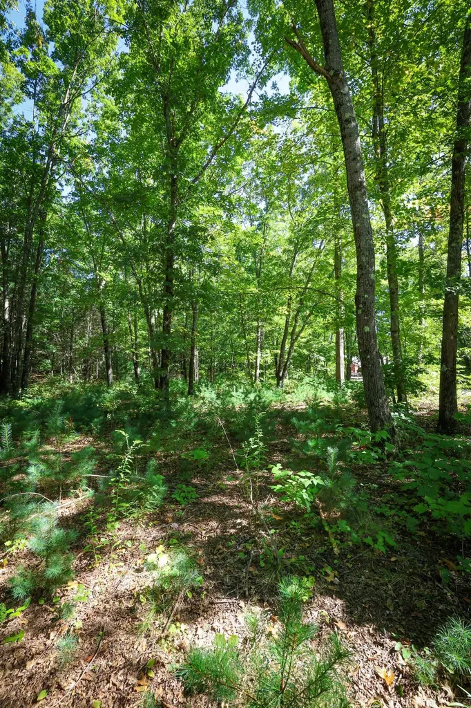 0 Garvins Falls Road Concord NH 03301