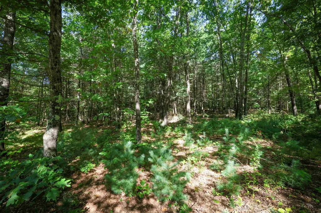 0 Garvins Falls Road Concord NH 03301