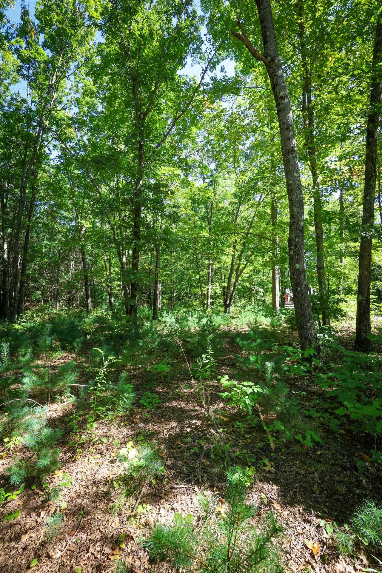 0 Garvins Falls Road Concord NH 03301