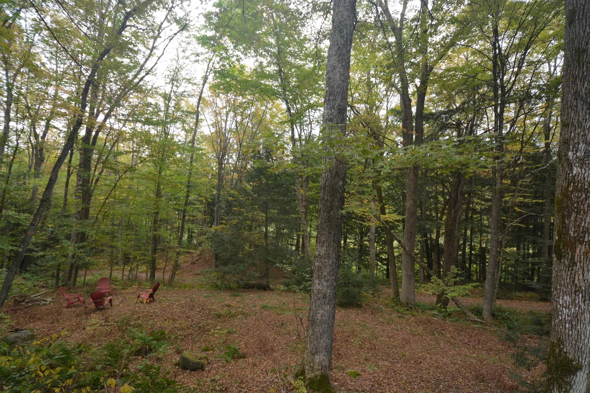 40 Troon Drive Grantham NH 03753