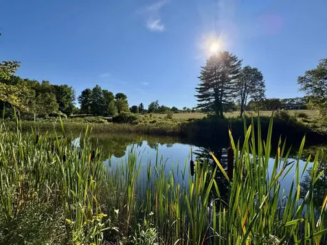 426 Goshen Road East Bradford VT 05033