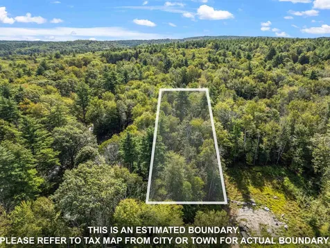 133 & 137 Browns Pasture Road Strafford NH 03884