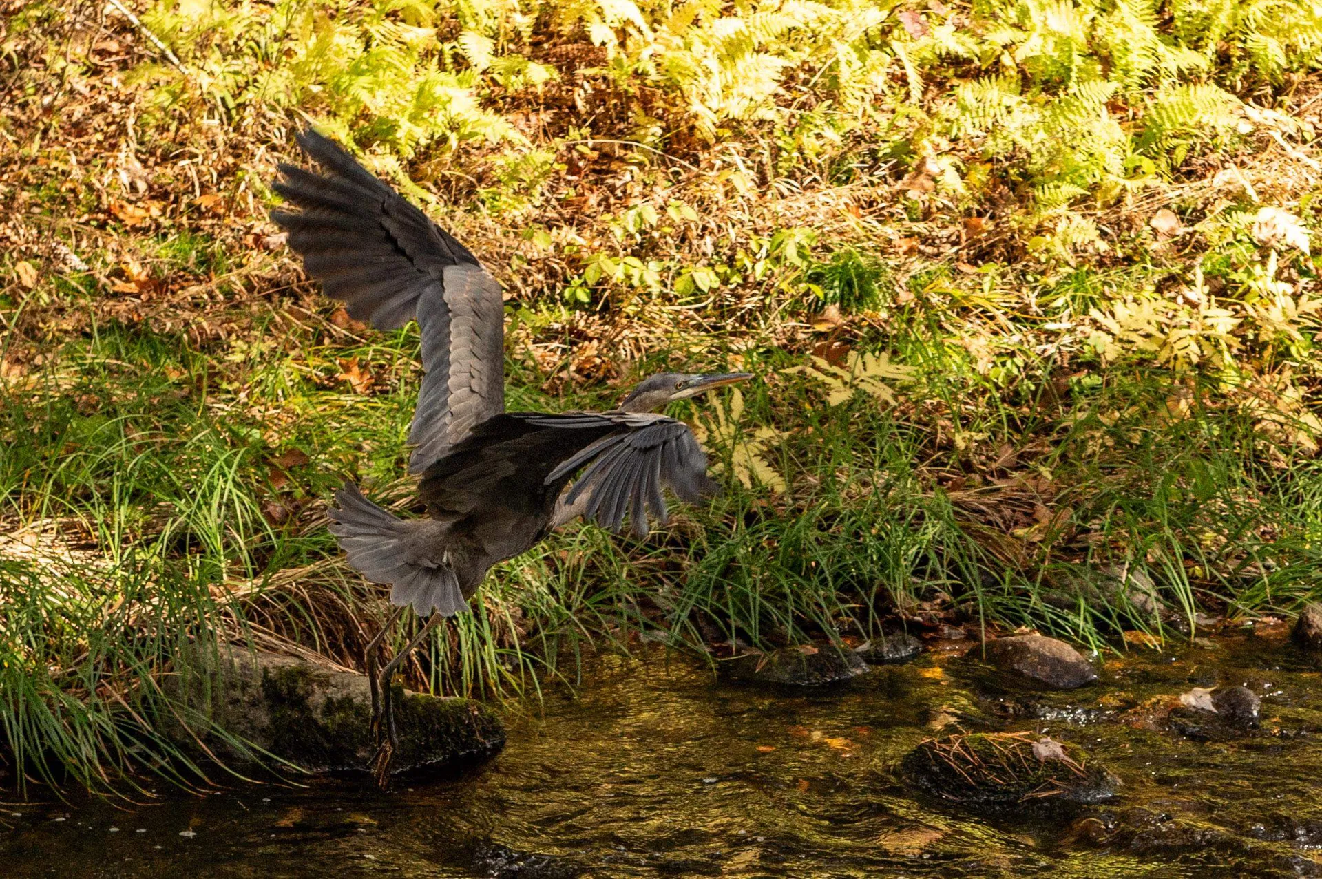 Lot 14 Old Mill Farm Road Hillsborough NH 03244