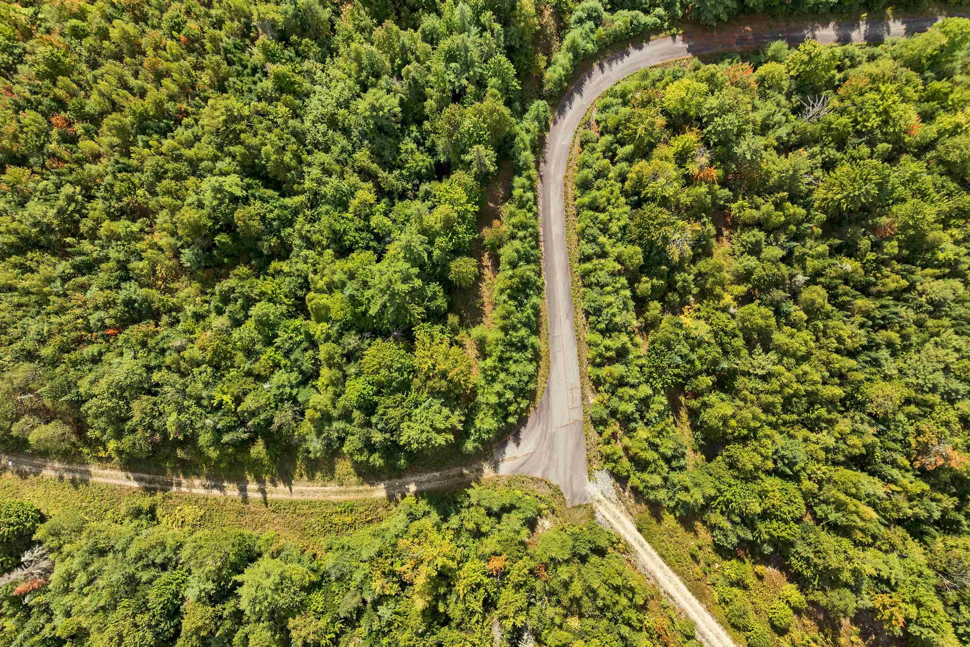 Lot 1a Morel Road Lancaster NH 03584