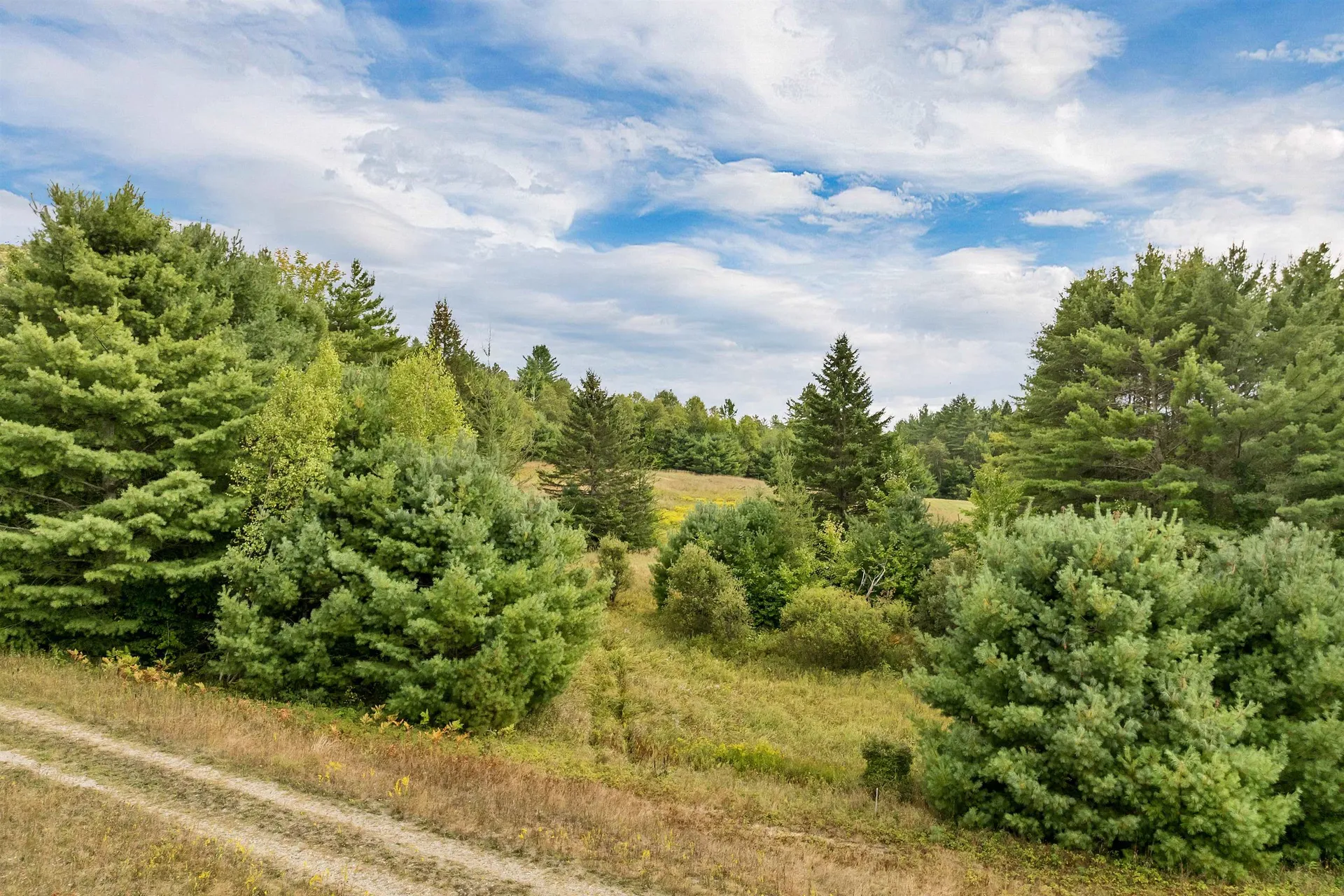 Lot 1a Morel Road Lancaster NH 03584