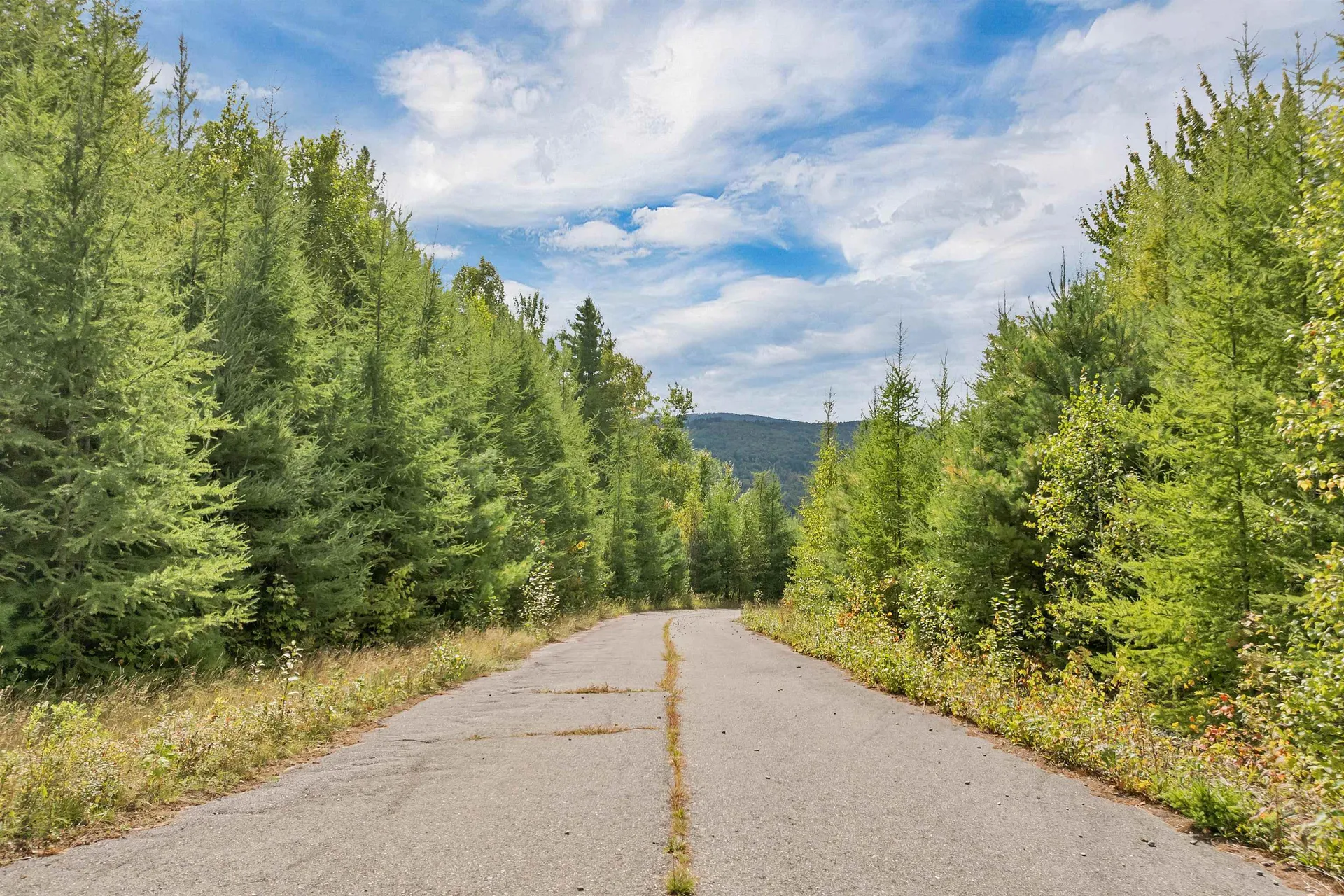 Lot 1a Morel Road Lancaster NH 03584