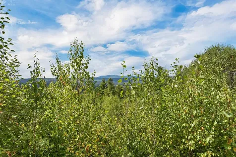 Lot 1a Morel Road Lancaster NH 03584