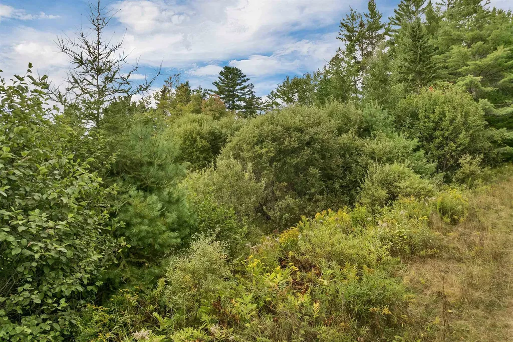 Lot 2 Morel Road Lancaster NH 03584