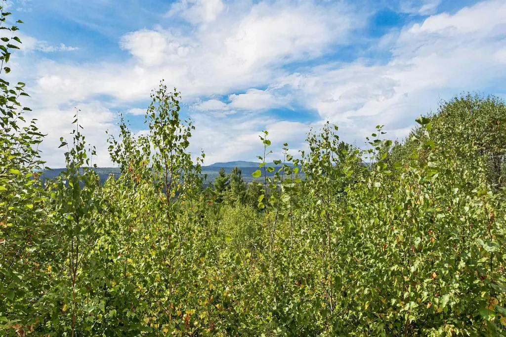 Lot 2 Morel Road Lancaster NH 03584