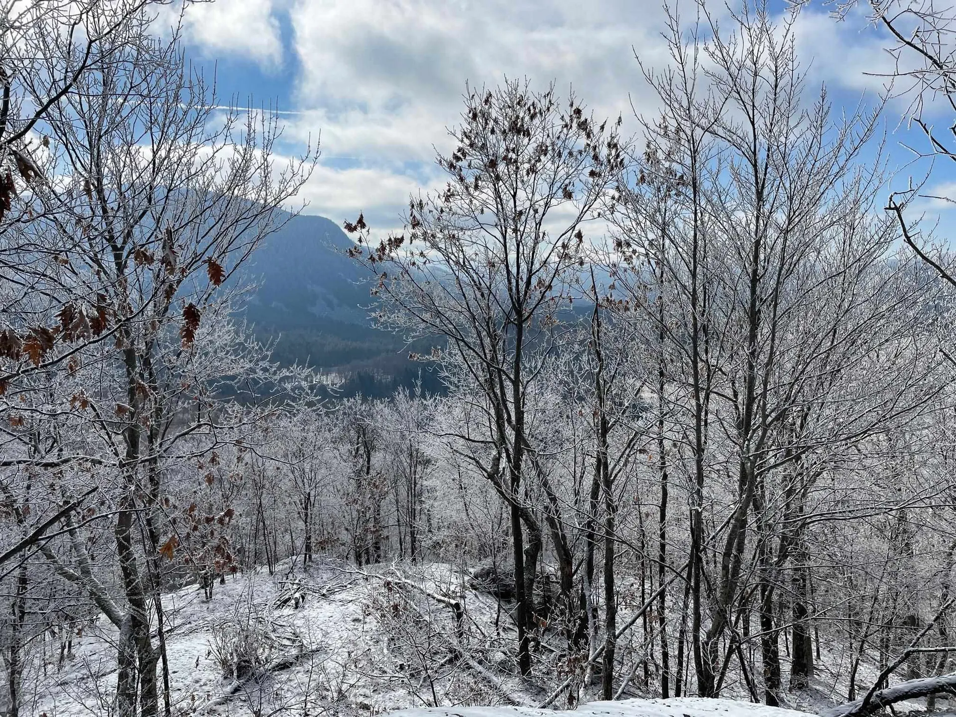 1156 Bear Mountain Road Wallingford VT 05773